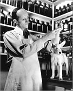 Dr. Mark Morris Sr. kutyával a laboratóriumban